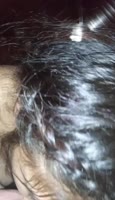Thedownandkinky's Native Rez Cutie Sucks Dick Real Good