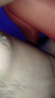 LullaSexxx's Sultry Lingerie POV - Big Tits & Ass, 60FPS HD