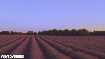 VIXEN A perfect view for unforgettable passionate sex