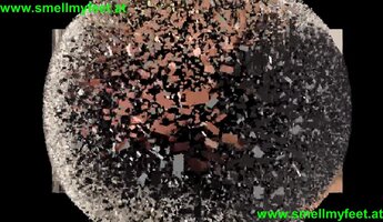 Fetish Frenzy: Toe-Tally Obsessed Feet Worship