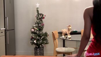 Holiday Cheer: TGirl Solo Masturbation Treat