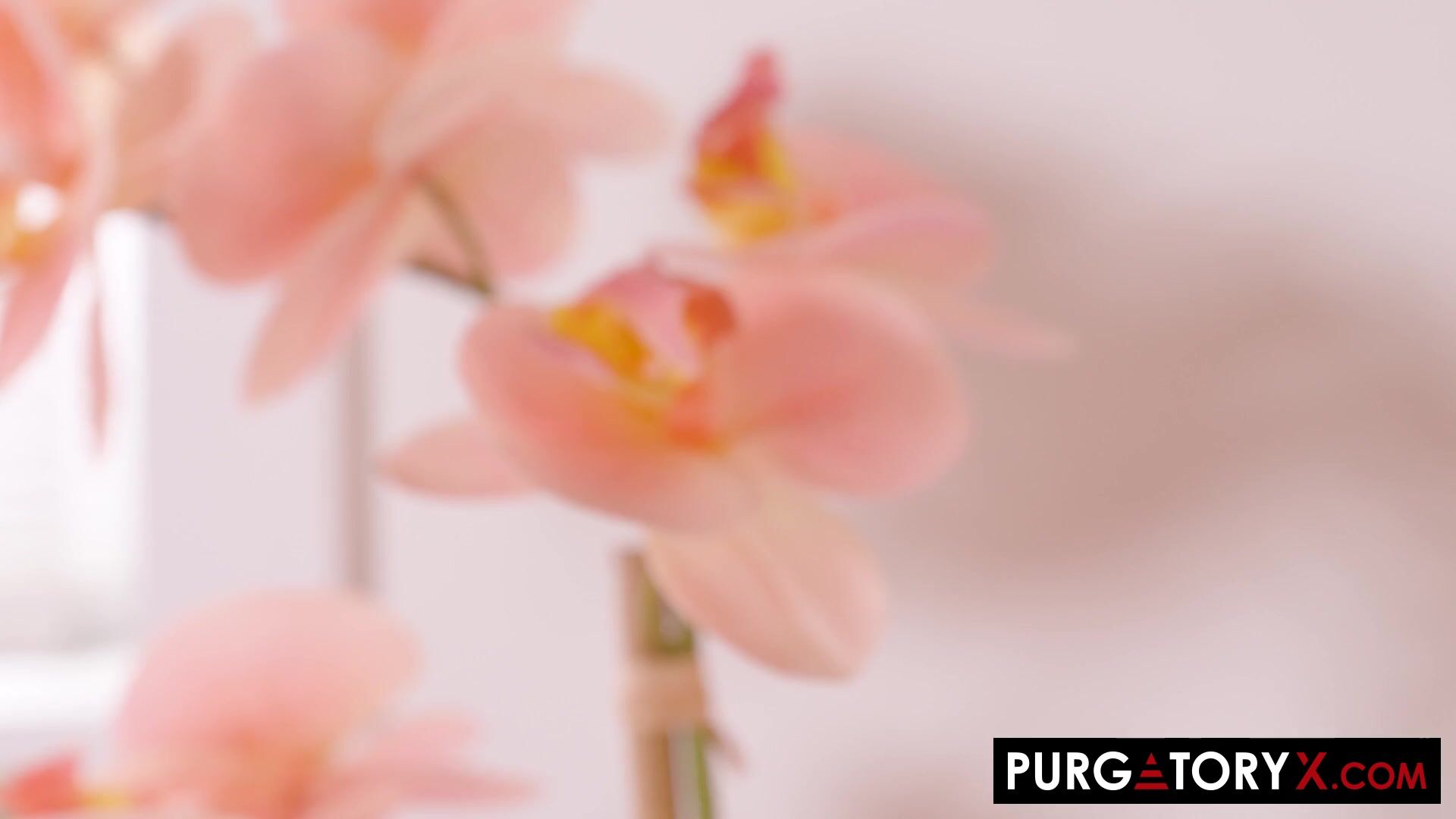 PURGATORYX my Wifes Massage Vol 3 Part 1 with Eden Ivy