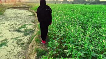 Desi Girl 07 Called Outside for a Wild Fucking in Indian Village
