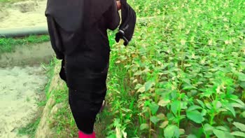 Desi Girl 07 Called Outside for a Wild Fucking in Indian Village