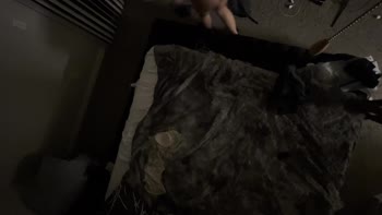 1Hellcat Blondie - Blondie's BBC Backshots: Snowbunny Takes Thick Cock in Doggystyle