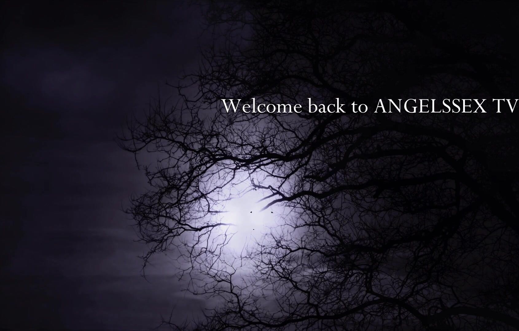 Angelssex TV - Anthology: Horror