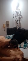 Zaly_boss Teases and Tames in Steamy Scissoring Session