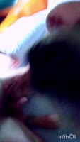 Annick Croas - Annick's Perfect Swollen Pussy in Stunning POV Blowjob
