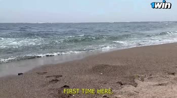 Sultry Stranger's Beachside Blowjob: BIDI6669's Nude Adventure