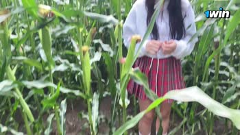 Airaccoon's Cornfield Caper: POV Blowjob & Dirty Talk