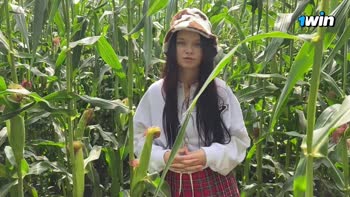 Airaccoon's Cornfield Caper: POV Blowjob & Dirty Talk