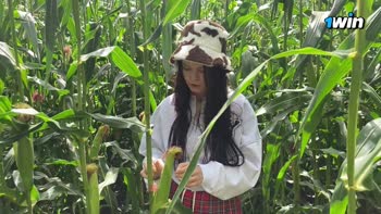 Airaccoon's Cornfield Caper: POV Blowjob & Dirty Talk
