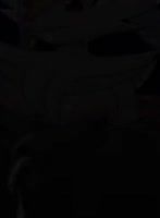 Huffy_Puffy_Fox - Puffy's Braixen Bonding: Trainers Get Lucky in HD Furry Porn