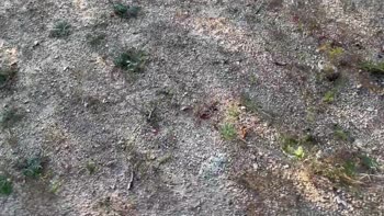 SinsEva's Public Playground: Fit Babe Sucks Cock in City Park