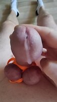 Shy Racoon's CBT Delight: Tied Balls Edged to Perfection