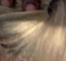 AceSpadesOmy's Cougar Wife Shares Her BBC Blowjob