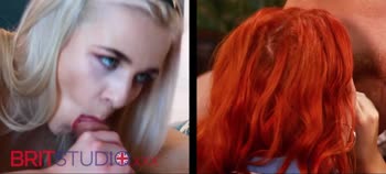 Ellie Shou's Blowjob Battle Royale: Who Will Win?