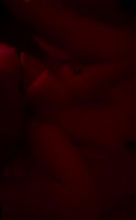 The Big Instructor's Sweet Treat: Eating Pussy and So Much More