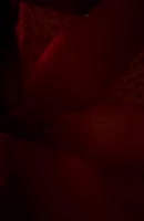 The Big Instructor's Sweet Treat: Eating Pussy and So Much More