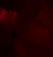 The Big Instructor's Sweet Treat: Eating Pussy and So Much More