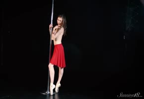 Ballerina Beauty Strips Down for Pole Dance Seduction