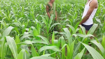 Yoursoniya's Desi Devar Bhabhi Affair in the Field