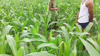Yoursoniya's Desi Devar Bhabhi Affair in the Field