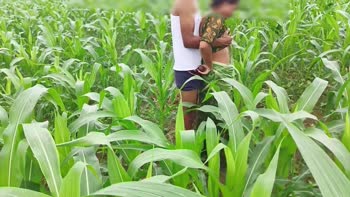 Yoursoniya's Desi Devar Bhabhi Affair in the Field