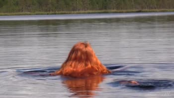 Lily's Sunny Seduction: A Natural Redhead Unfolds by the Water