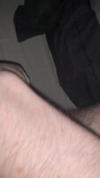 JadeDragon's Anal Adventure with an 8-Inch Bad Dragon