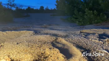 EvaStive's Outdoor Adventure: Big MILF Pussy & Powerful Urethra Stream