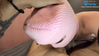 WetRomance's Sizzling POV Blowjob: Big Dick, Teenage Babe, 18+