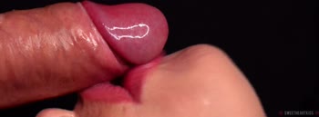 SweetheartKiss's Mind-Blowing Close-Up Blowjob Frenzy