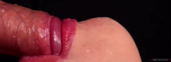 SweetheartKiss's Mind-Blowing Close-Up Blowjob Frenzy