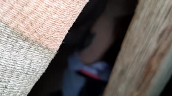 IkaSmokS's Sis Steals the Show in a POV Masturbation Spectacle