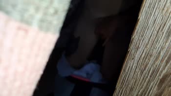 IkaSmokS's Sis Steals the Show in a POV Masturbation Spectacle
