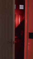 "The Ghost" with a Big Dick Fucks this Beautiful MILF