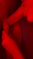 SexFaria's Sizzling Blowjob Frenzy
