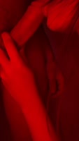 SexFaria's Sizzling Blowjob Frenzy