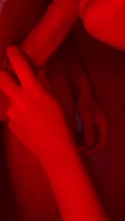 SexFaria's Sizzling Blowjob Frenzy