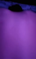 ElisayAlex20's Steamy POV with Latina Teen (18+) Friend