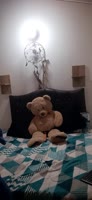 Zaly_boss Goes Solo: Colombian Cutie's Naughty Masturbation Session