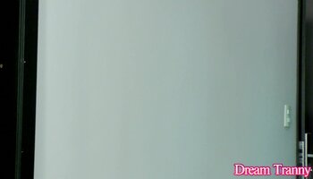 Bruna Ferrari's Steamy Anal Hardcore with a Shemale BJ