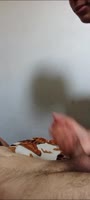 GabrielSouza1001 - Gabriel Souza's Sweet Brazilian Blowjob