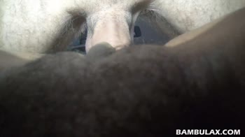 Wild African Beauty's Ebony Pussy Gets Filled by White Cock