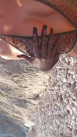 MissLadyXx's Wild Beach Flirtation - Big Tits & Nipples On Display