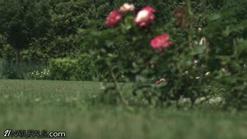 Katy Rose's Czech Temptation: Outdoor Buttfucking Bliss
