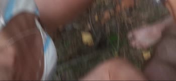Freken Pussy Snork's Nude Beach Romp: Wild Outside Blowjob & Creampie