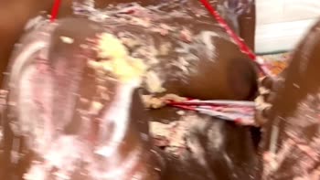 Liz Ferrari's Sizzling Cake Smash Solo: Natural Ebony Babe Indulges