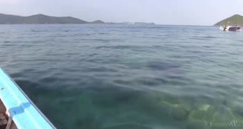 Stunning 18-Year-Old Brunette Bares Her Sexy Body by the Sea